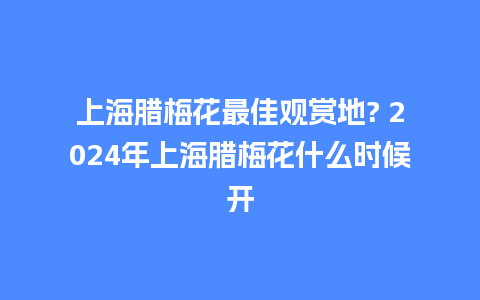 上海腊梅花最佳观赏地? 2024年上海腊梅花什么时候开