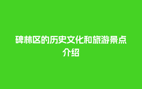 碑林区的历史文化和旅游景点介绍