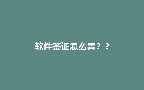 软件签证怎么弄？？