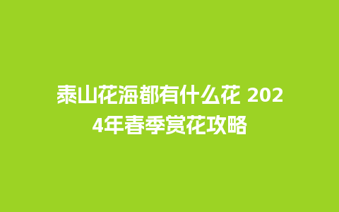 泰山花海都有什么花 2024年春季赏花攻略