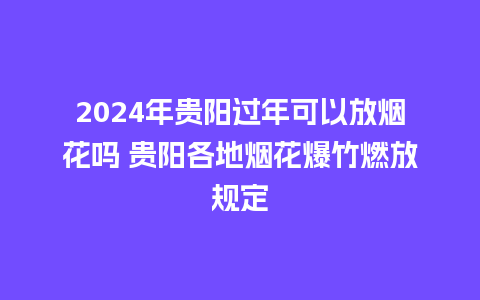 2024年贵阳过年可以放烟花吗 贵阳各地烟花爆竹燃放规定