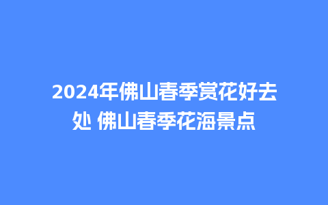 2024年佛山春季赏花好去处 佛山春季花海景点