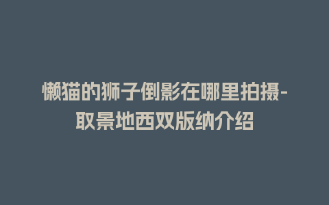 懒猫的狮子倒影在哪里拍摄-取景地西双版纳介绍