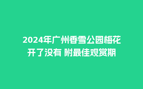 2024年广州香雪公园梅花开了没有 附最佳观赏期