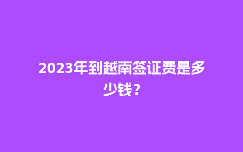 2023年到越南签证费是多少钱？