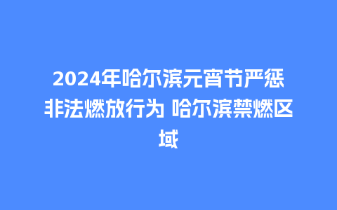 2024年哈尔滨元宵节严惩非法燃放行为 哈尔滨禁燃区域