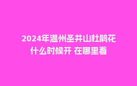 2024年温州圣井山杜鹃花什么时候开 在哪里看