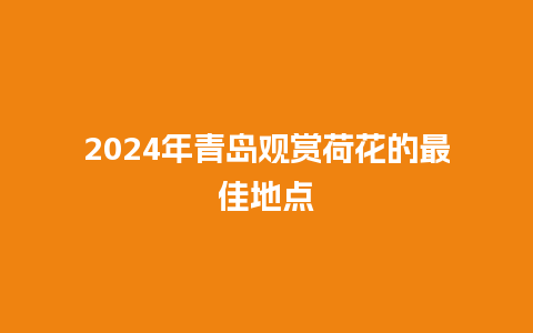 2024年青岛观赏荷花的最佳地点