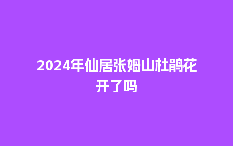 2024年仙居张姆山杜鹃花开了吗