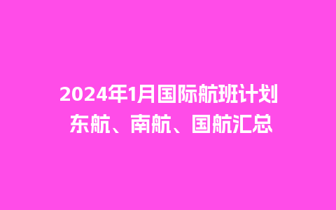 2024年1月国际航班计划 东航、南航、国航汇总