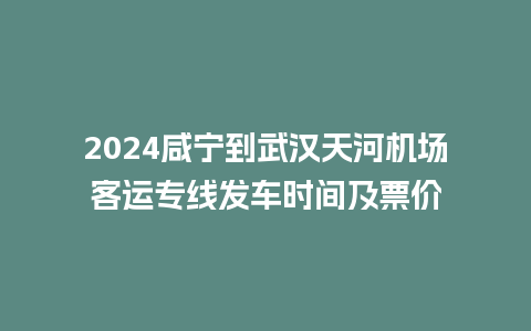 2024咸宁到武汉天河机场客运专线发车时间及票价