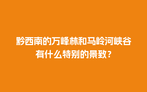 黔西南的万峰林和马岭河峡谷有什么特别的景致？