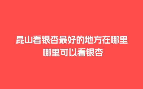 昆山看银杏最好的地方在哪里 哪里可以看银杏