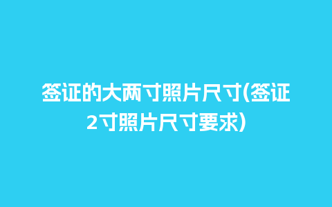 签证的大两寸照片尺寸(签证2寸照片尺寸要求)