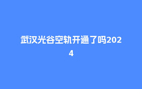 武汉光谷空轨开通了吗2024