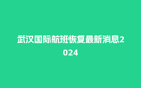 武汉国际航班恢复最新消息2024