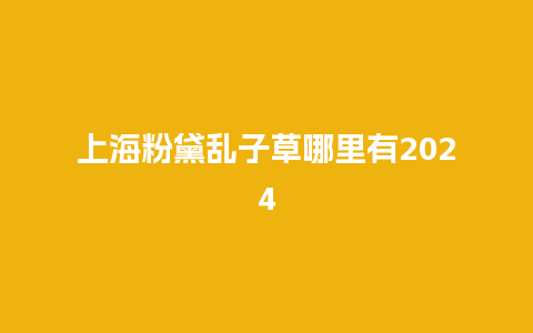 上海粉黛乱子草哪里有2024