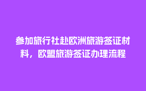 参加旅行社赴欧洲旅游签证材料，欧盟旅游签证办理流程