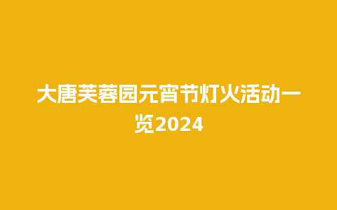 大唐芙蓉园元宵节灯火活动一览2024