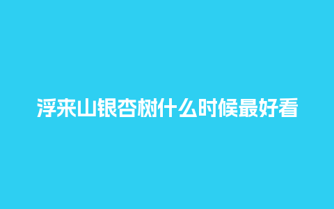 浮来山银杏树什么时候最好看