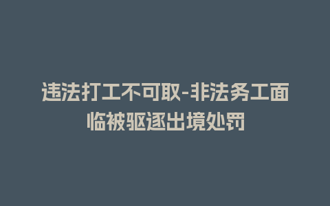 违法打工不可取-非法务工面临被驱逐出境处罚