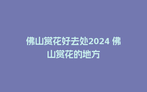 佛山赏花好去处2024 佛山赏花的地方