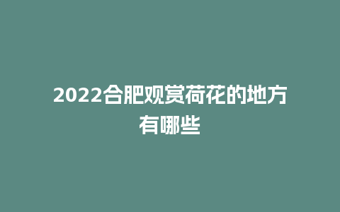 2022合肥观赏荷花的地方有哪些