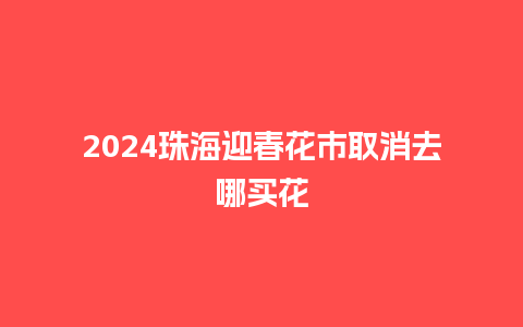 2024珠海迎春花市取消去哪买花