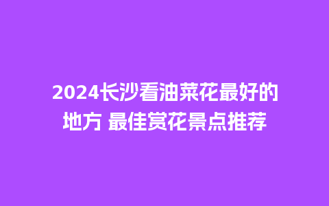 2024长沙看油菜花最好的地方 最佳赏花景点推荐