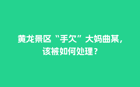 黄龙景区“手欠”大妈曲某，该被如何处理？