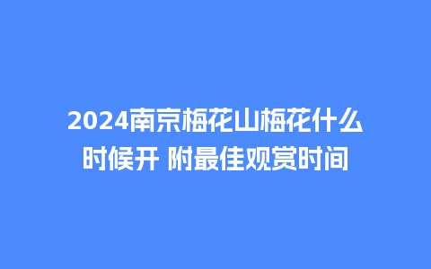 2024南京梅花山梅花什么时候开 附最佳观赏时间