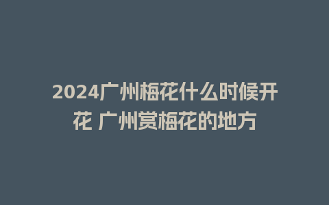 2024广州梅花什么时候开花 广州赏梅花的地方