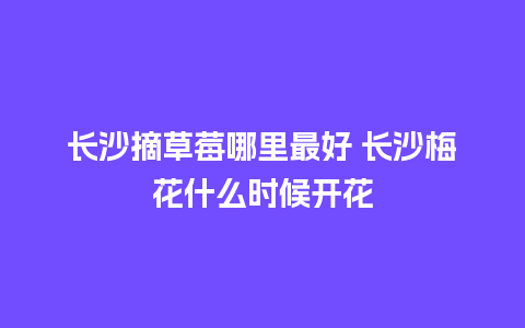 长沙摘草莓哪里最好 长沙梅花什么时候开花