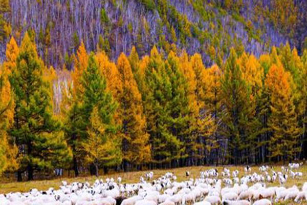 阿尔山最佳旅游时间 阿尔山景点介绍