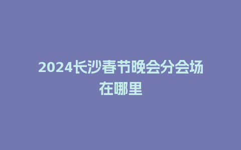 2024长沙春节晚会分会场在哪里