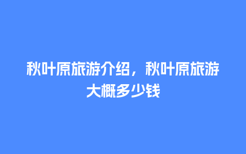 秋叶原旅游介绍，秋叶原旅游大概多少钱