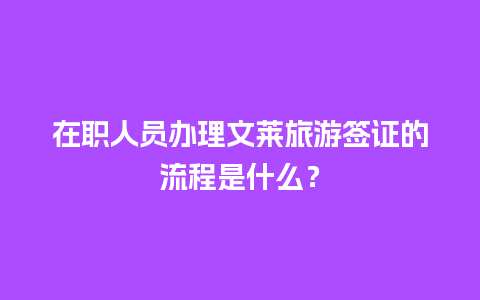 在职人员办理文莱旅游签证的流程是什么？