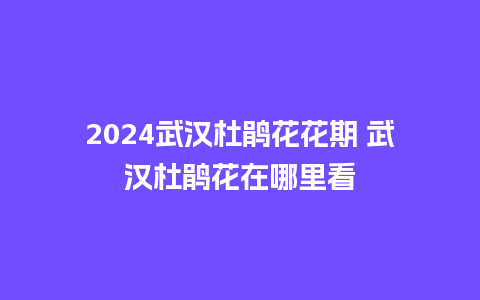 2024武汉杜鹃花花期 武汉杜鹃花在哪里看