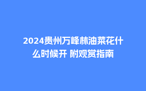 2024贵州万峰林油菜花什么时候开 附观赏指南