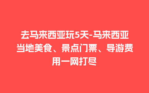 去马来西亚玩5天-马来西亚当地美食、景点门票、导游费用一网打尽