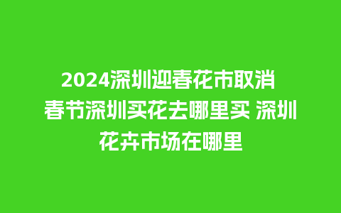 2024深圳迎春花市取消 春节深圳买花去哪里买 深圳花卉市场在哪里