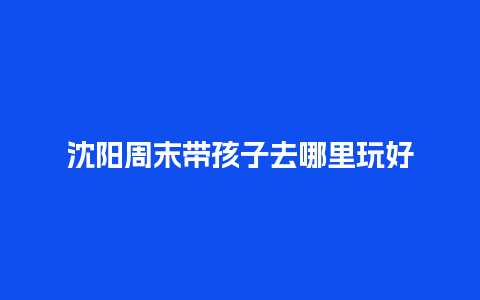 沈阳周末带孩子去哪里玩好