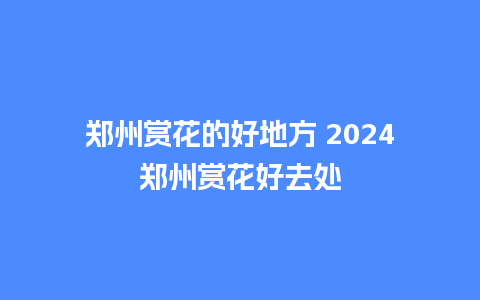 郑州赏花的好地方 2024郑州赏花好去处