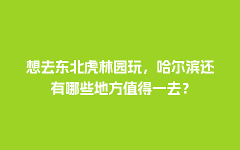 想去东北虎林园玩，哈尔滨还有哪些地方值得一去？