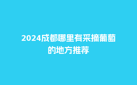 2024成都哪里有采摘葡萄的地方推荐