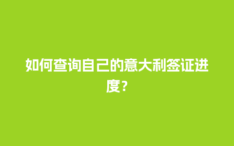 如何查询自己的意大利签证进度？