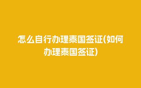 怎么自行办理泰国签证(如何办理泰国签证)