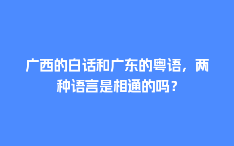 广西的白话和广东的粤语，两种语言是相通的吗？