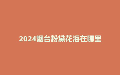 2024烟台粉黛花海在哪里