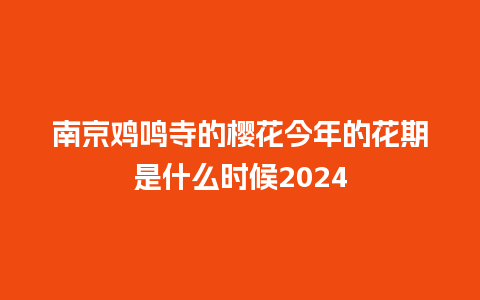 南京鸡鸣寺的樱花今年的花期是什么时候2024